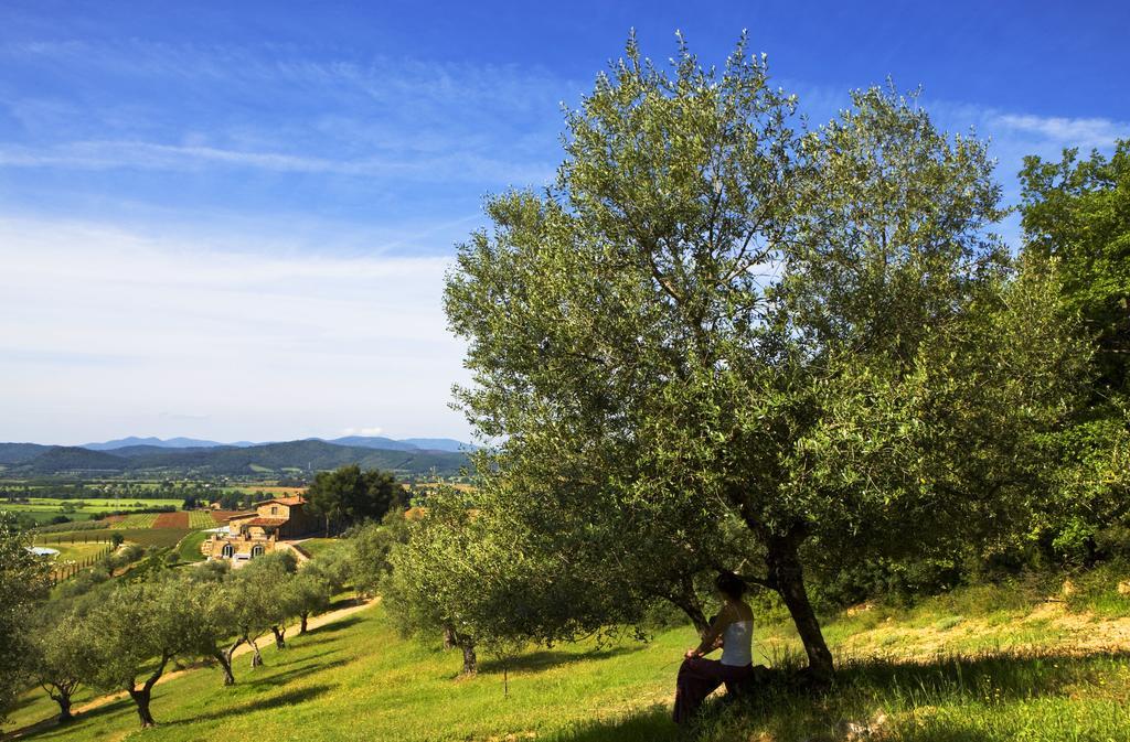 Wine Resort Conti Di San Bonifacio Montemassi Exterior foto