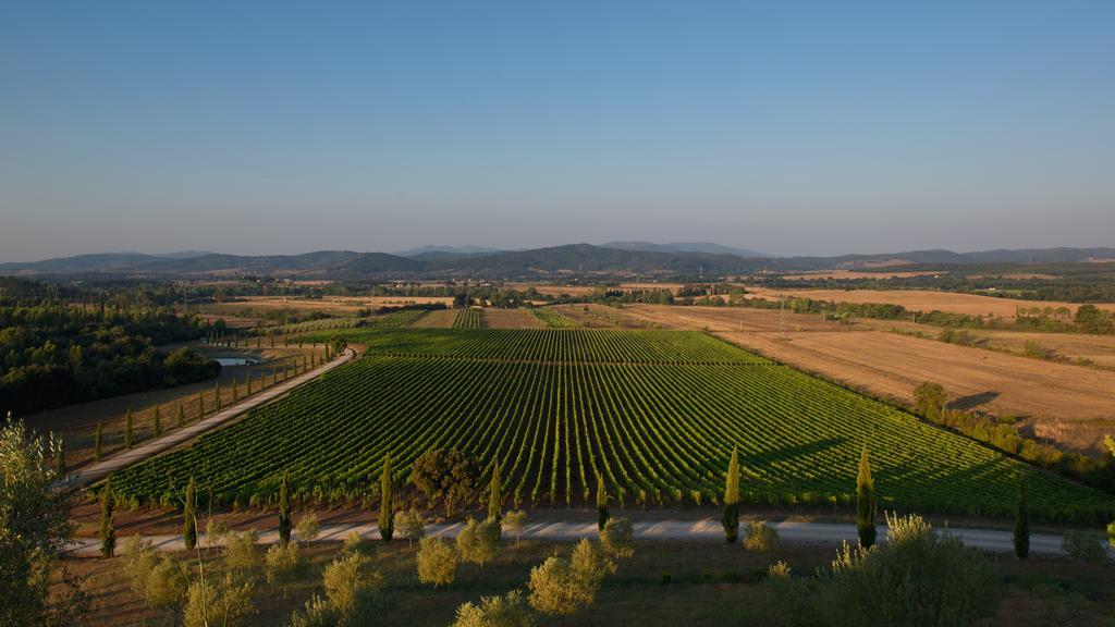 Wine Resort Conti Di San Bonifacio Montemassi Exterior foto